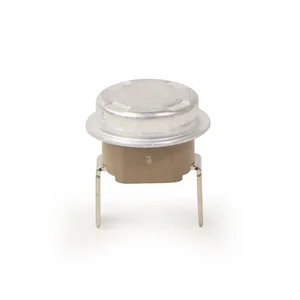 Gaggia Contact Thermostat 190°C - 12001033