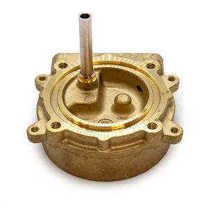 Gaggia Classic Evo Brass Grouphead - 421946510051