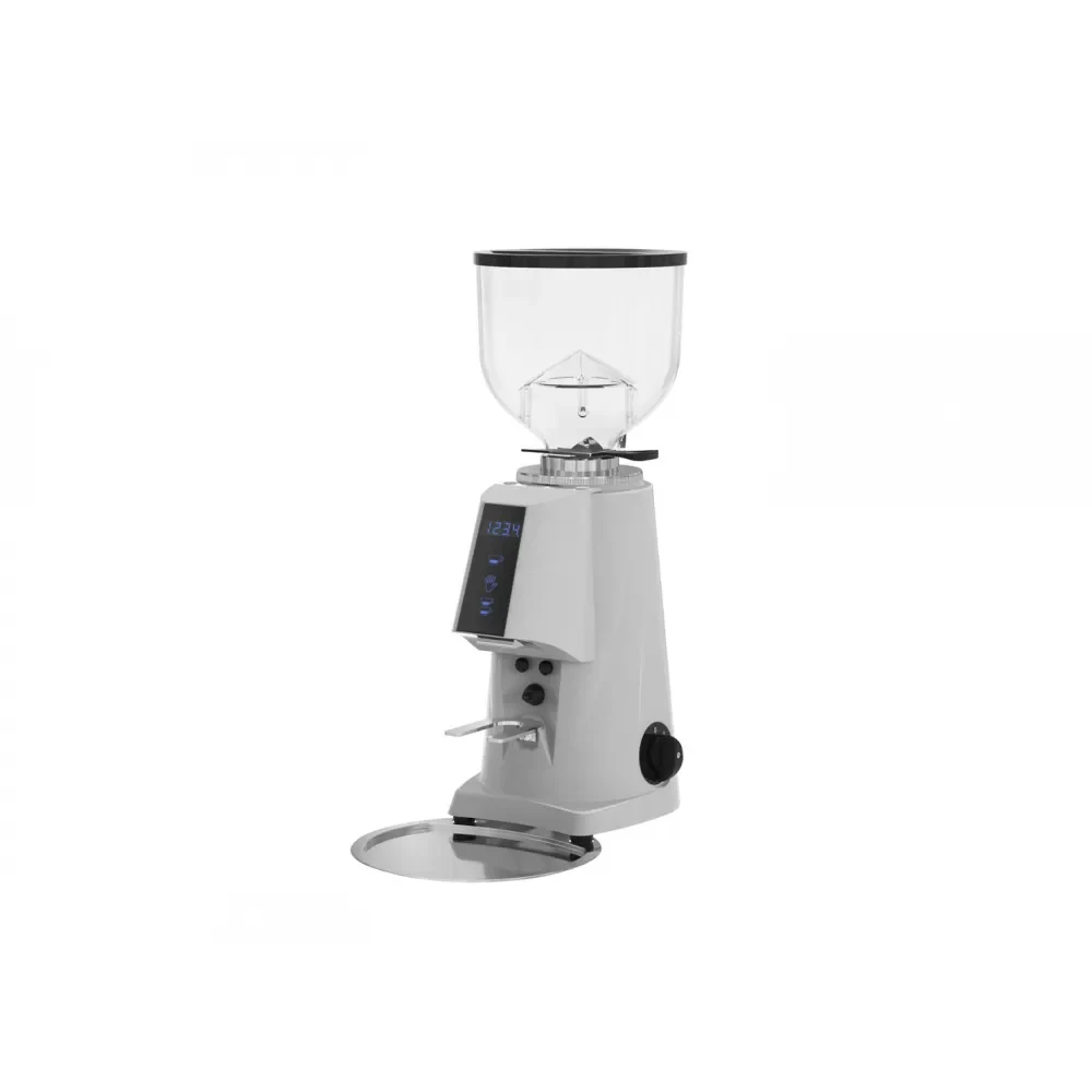 Refurbished Fiorenzato Grinder