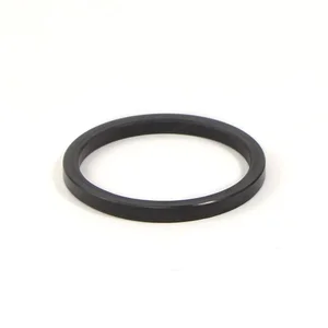 Astoria Lever Filiterholder Gasket 5.5mm - 12216