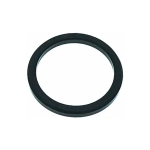 La Spaziale Group Gasket
