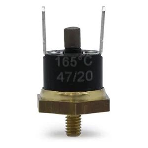 Elektra Mini Verticale Steam Thermostat 165°C - 00700035